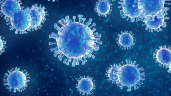 Photo for Flu activity now highest in 15 years: How is West Virginia doing?