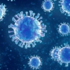 Photo for Flu activity now highest in 15 years: How is West Virginia doing?