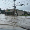 Photo for Marion County Health Dept. FOOD SAFETY RESPONSE