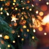 Photo for Christmas Eve Closing at 12pm